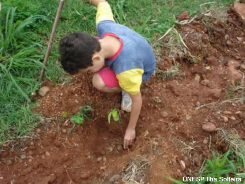 plantio_arvores_20set09 (35).jpg